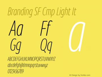 Branding SF Cmp Light It Version 1.000;hotconv 1.0.109;makeotfexe 2.5.65596图片样张