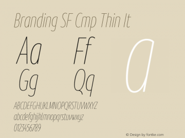 Branding SF Cmp Thin It Version 1.000;hotconv 1.0.109;makeotfexe 2.5.65596图片样张