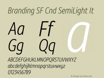 Branding SF Cnd SemiLight It Version 1.000;hotconv 1.0.109;makeotfexe 2.5.65596图片样张