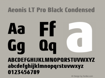 Aeonis LT Pro Black Cond Version 1.100图片样张