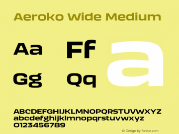 Aeroko Wide Medium Version 1.00图片样张