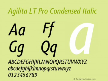 AgilitaLTPro-CondensedIt Version 1.01图片样张