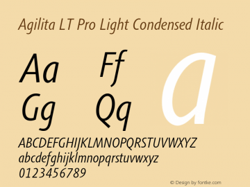 AgilitaLTPro-LightCondIt Version 1.01图片样张