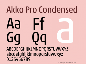 Akko Pro Condensed Version 1.00图片样张