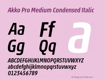 Akko Pro Medium Condensed It Version 1.00图片样张