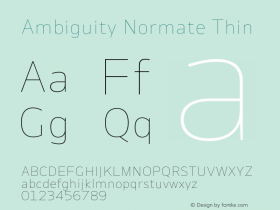 Ambiguity Normate Thin Version 1.00, build 11, s3图片样张