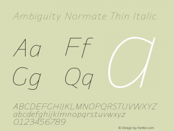 Ambiguity Normate Thin It Version 1.00, build 10, s3图片样张