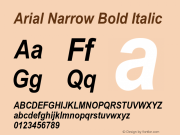 Arial Narrow Bold Italic Version 1.00 Build 1000图片样张