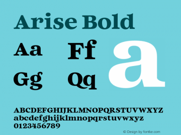 Arise Bold Version 1.100;FEAKit 1.0图片样张