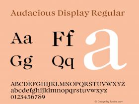 Audacious Display Regular Version 1.100;FEAKit 1.0图片样张