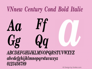 VNnew Century Cond Bold Italic Unknown图片样张