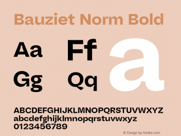 Bauziet Norm Bold Version 1.000;hotconv 1.0.109;makeotfexe 2.5.65596图片样张