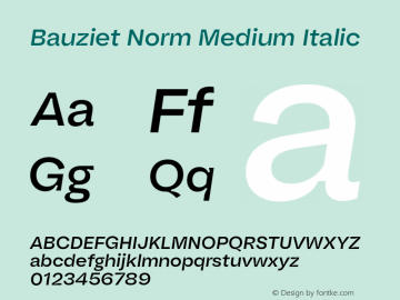 Bauziet Norm Medium Italic Version 1.000;hotconv 1.0.109;makeotfexe 2.5.65596图片样张