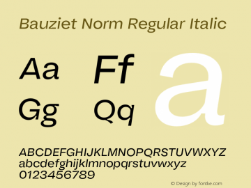 Bauziet Norm Regular Italic Version 1.000;hotconv 1.0.109;makeotfexe 2.5.65596图片样张