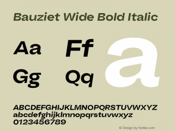 Bauziet Wide Bold Italic Version 1.000;hotconv 1.0.109;makeotfexe 2.5.65596图片样张