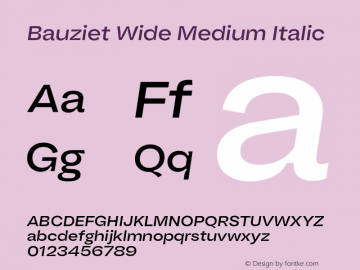 Bauziet Wide Medium Italic Version 1.000;hotconv 1.0.109;makeotfexe 2.5.65596图片样张