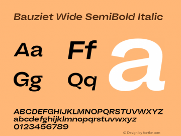 Bauziet Wide SemiBold Italic Version 1.000;hotconv 1.0.109;makeotfexe 2.5.65596图片样张
