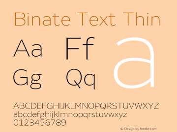 Binate Text Thin Version 1.00图片样张