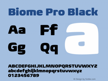 BiomePro-Black Version 1.000图片样张