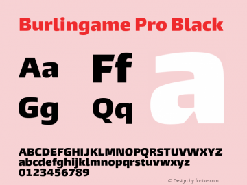 Burlingame Pro Black Version 1.000图片样张