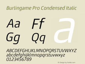 Burlingame Pro Condensed Italic Version 1.000图片样张