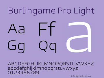 Burlingame Pro Light Version 1.000图片样张