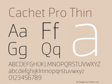 Cachet Pro Thin Version 1.00图片样张