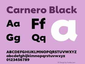 Carnero Black Version 1.10, build 11, s3图片样张