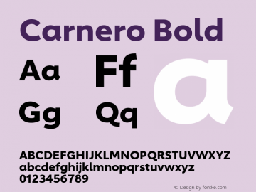 Carnero Bold Version 1.10, build 11, s3图片样张