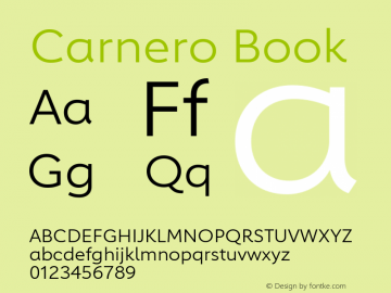 Carnero Book Version 1.10, build 11, s3图片样张