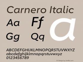 Carnero Italic Version 1.10, build 11, s3图片样张