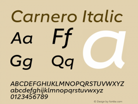 Carnero Italic Version 1.10, build 11, s3图片样张