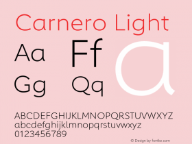 Carnero Light Version 1.10, build 11, s3图片样张