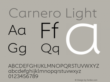 Carnero Light Version 1.10, build 11, s3图片样张