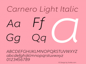 Carnero Light Italic Version 1.10, build 11, s3图片样张