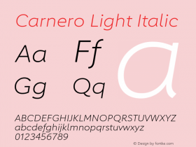 Carnero Light Italic Version 1.10, build 11, s3图片样张