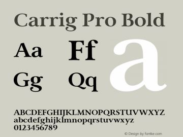 Carrig Pro Bold Version 3.000;PS 003.000;hotconv 1.0.88;makeotf.lib2.5.64775图片样张