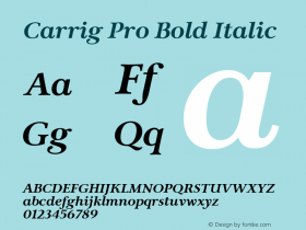 Carrig Pro Bold Italic Version 3.000;PS 003.000;hotconv 1.0.88;makeotf.lib2.5.64775图片样张