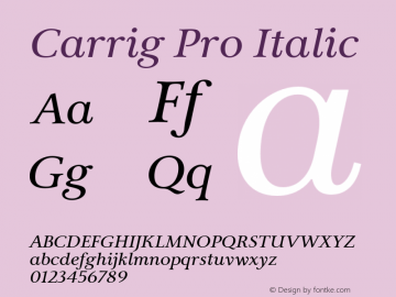 Carrig Pro Italic Version 3.000;PS 003.000;hotconv 1.0.88;makeotf.lib2.5.64775图片样张