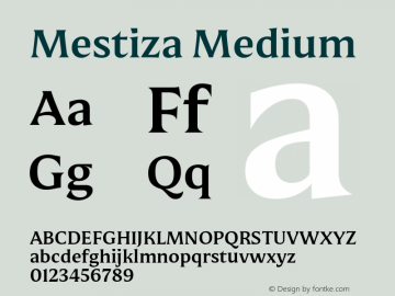 Mestiza Medium Version 1.002图片样张