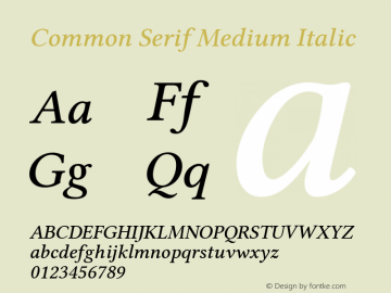 Common Serif Medium Italic Version 1.026图片样张