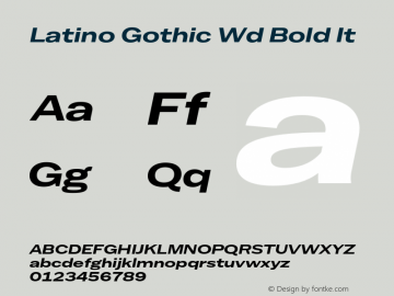 Latino Gothic Wd Bold It Version 1.000;FEAKit 1.0图片样张