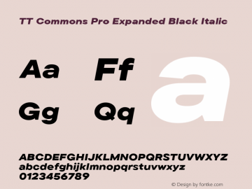 TT Commons Pro Expanded Black Italic Version 3.300.05092023图片样张