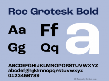 Roc Grotesk Bold Version 1.000;PS 001.000;hotconv 1.0.88;makeotf.lib2.5.64775图片样张