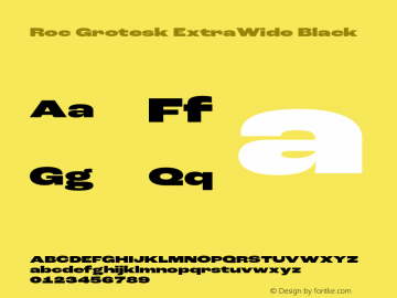 Roc Grotesk ExtraWide Black Version 1.000;PS 001.000;hotconv 1.0.88;makeotf.lib2.5.64775图片样张