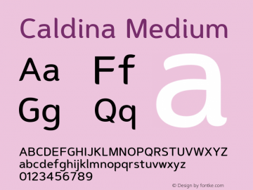 Caldina-Medium Version 1.003图片样张