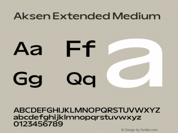 Aksen Extended Medium Version 3.003图片样张