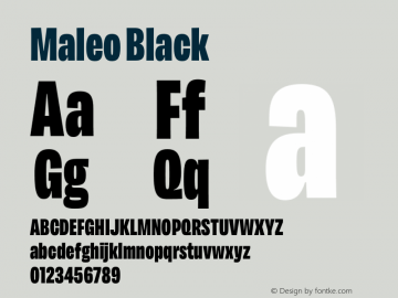 Maleo Black Version 1.007图片样张