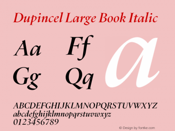 Dupincel Large Book Italic Version 1.000图片样张