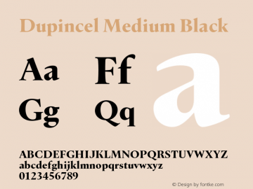 Dupincel Medium Black Version 1.000图片样张